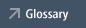 Glossary