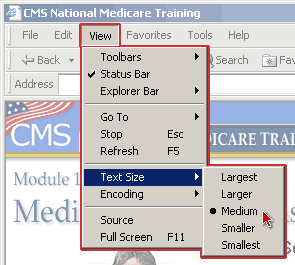 Text Size Options