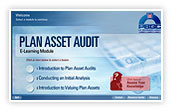 Plan Asset Audit